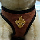 Dog Harness Metropolitan Opera