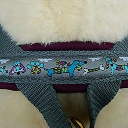 Dog Harness Doggy's Day